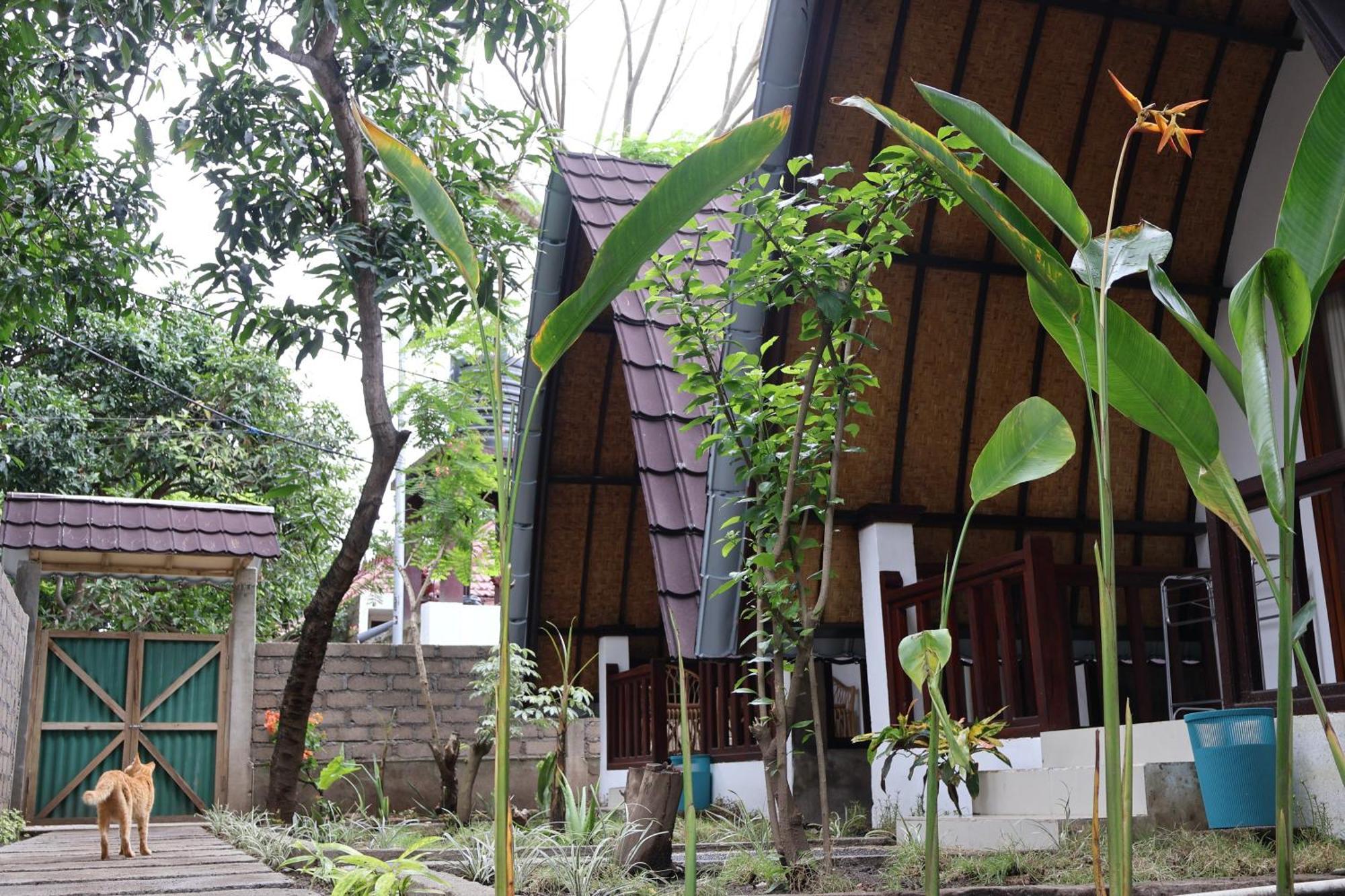 Rumah Gemala Gili Air Bagian luar foto